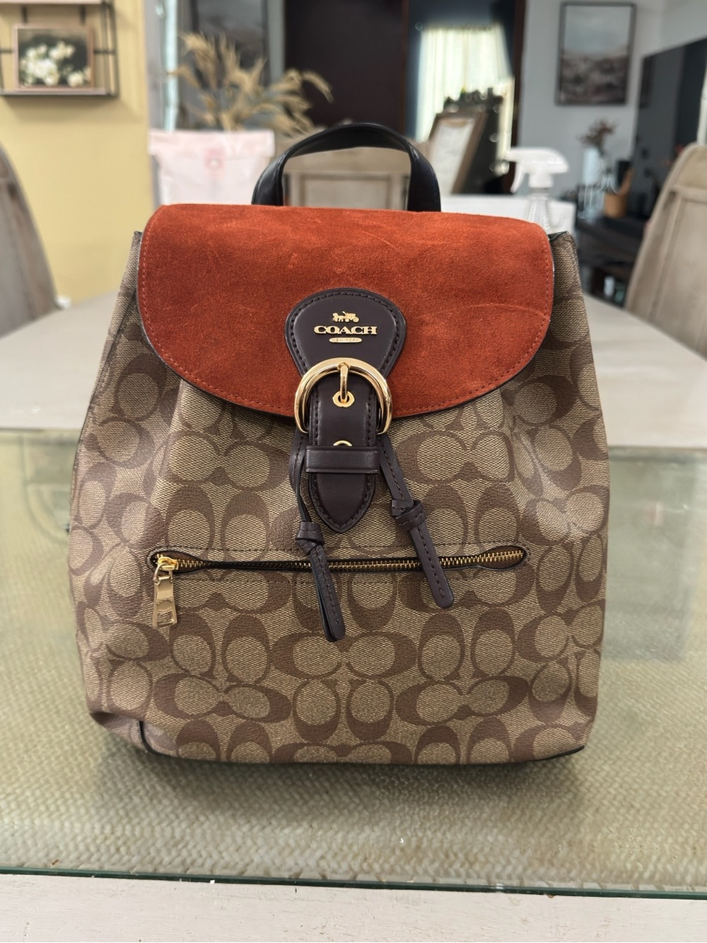 Coach Signature Canvas Backpack with Rust Suede Flap